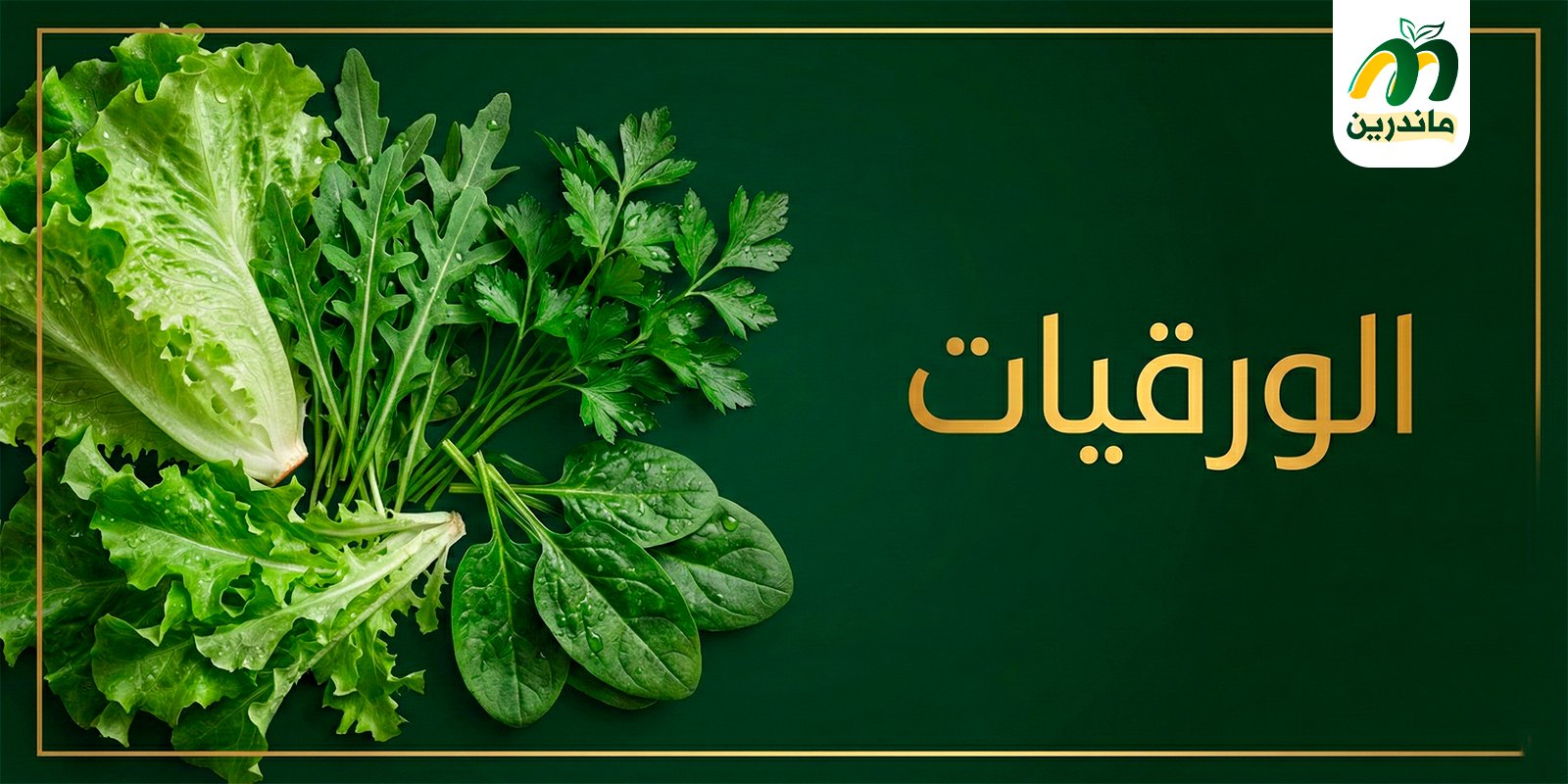 سلة الورقيات الطازجة