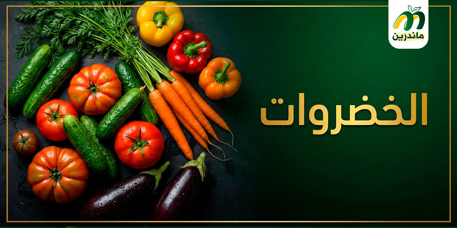 سلة الخضروات الطازجة