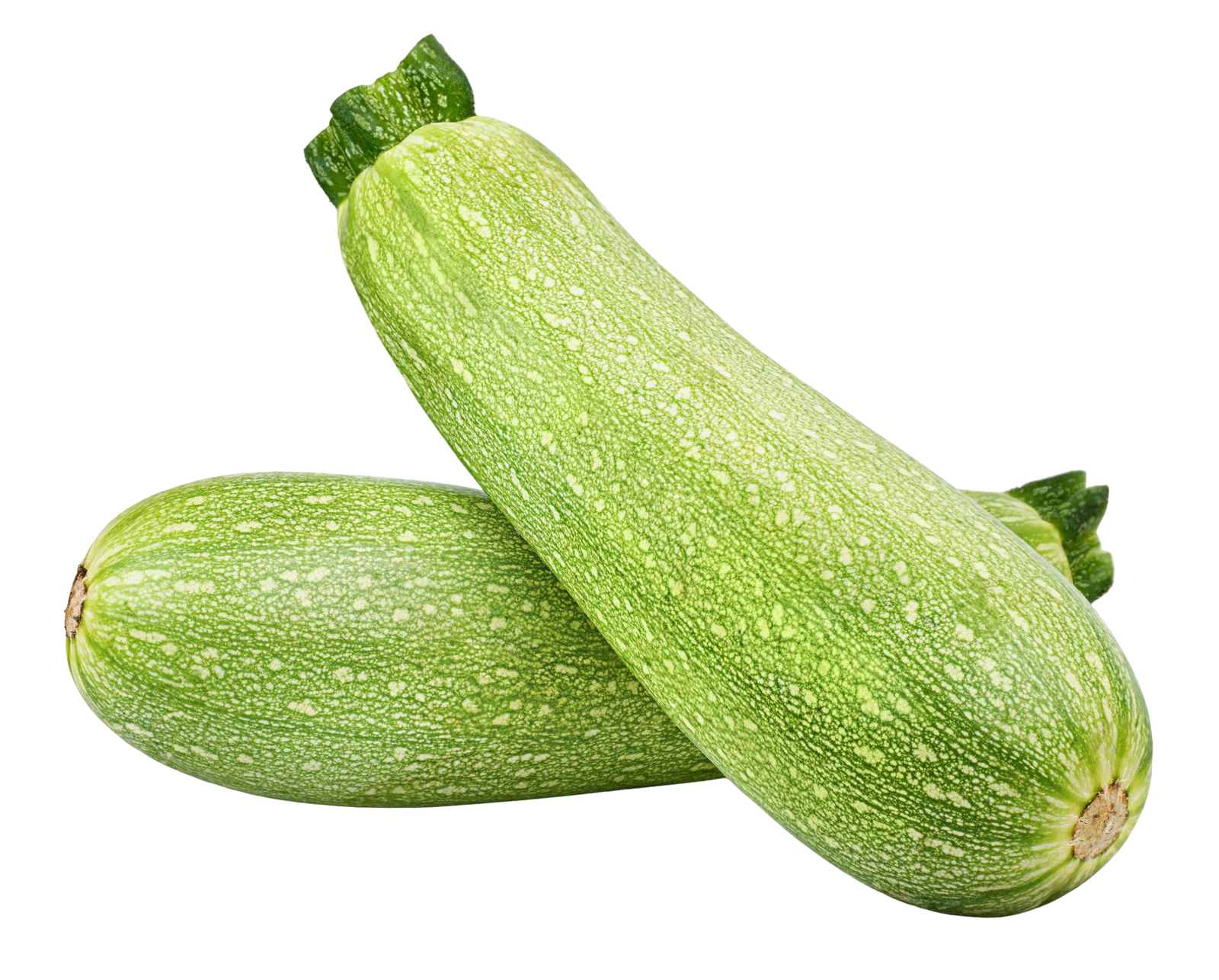 كوساء