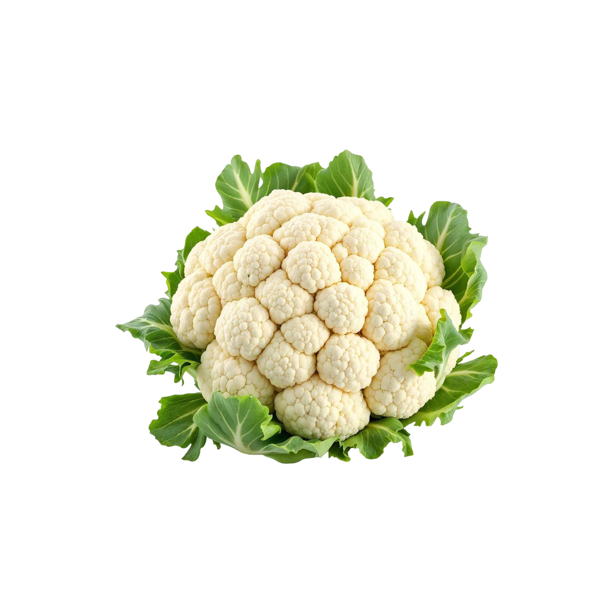 زهرة