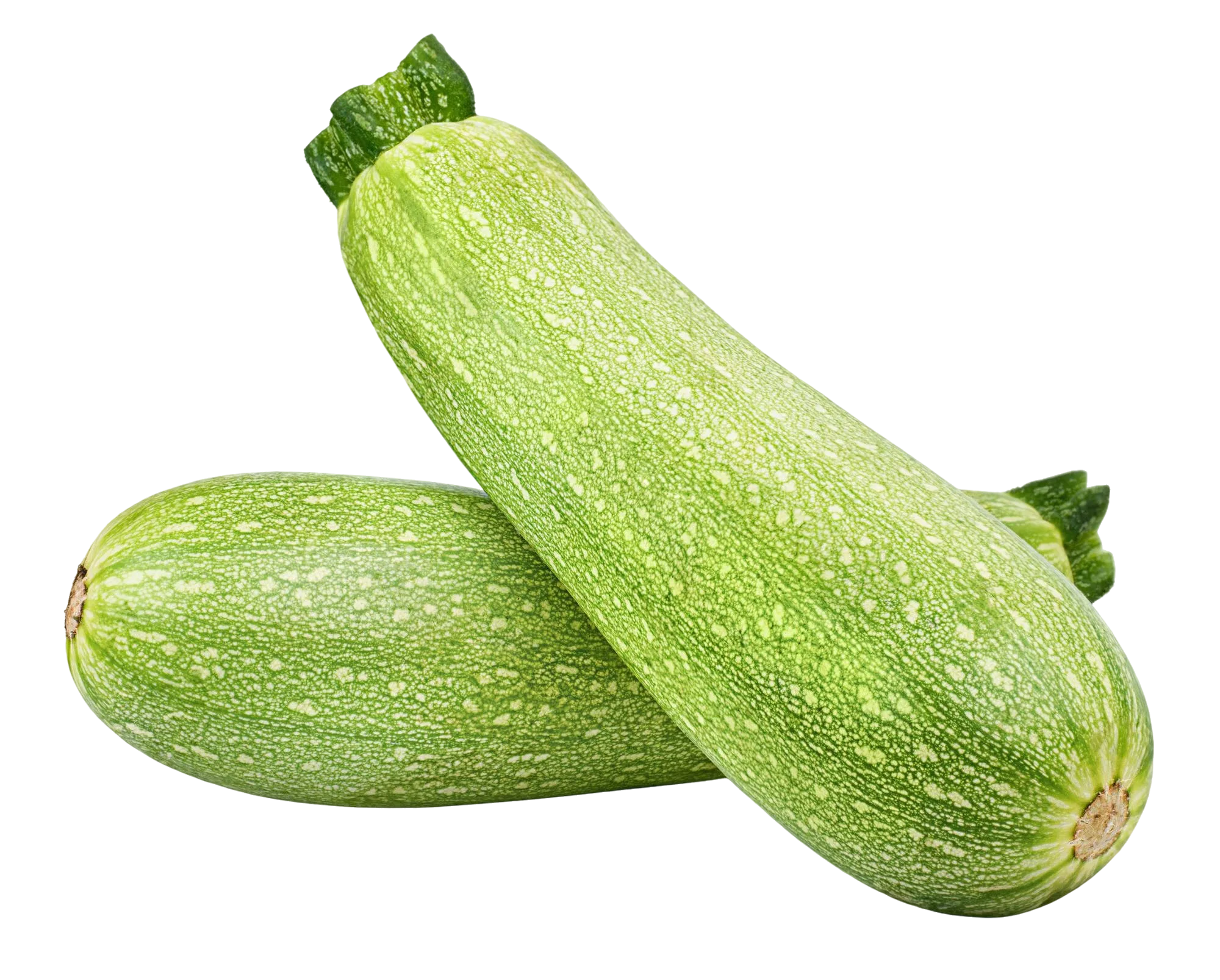 كوساء