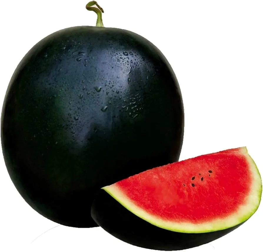 حبحب اسود