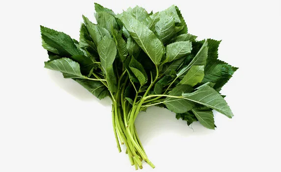 ملوخية