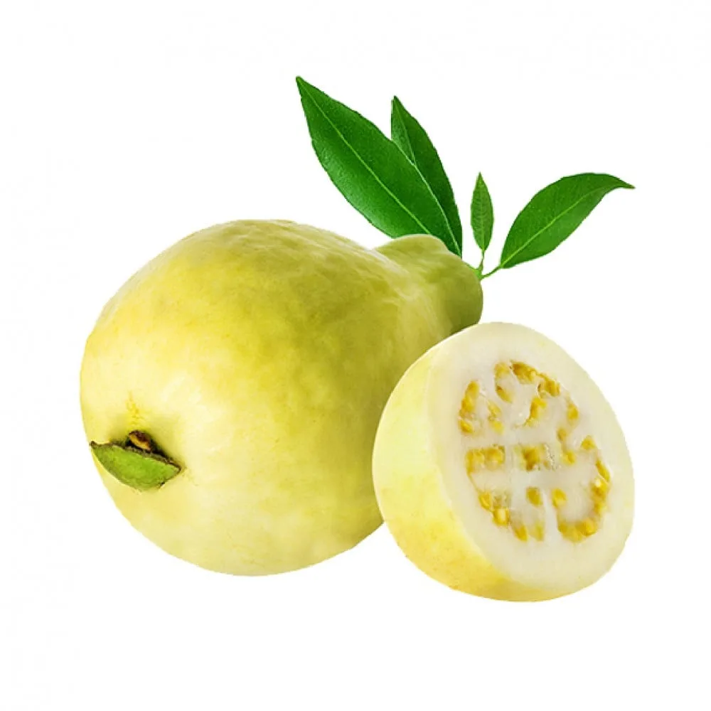 جوافة