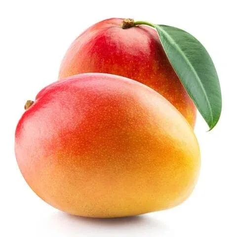 مانجو شيله