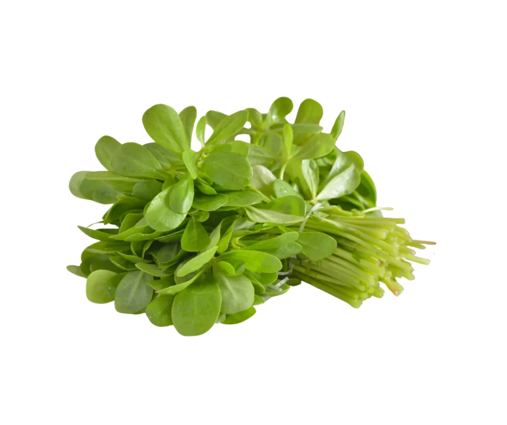 رجلة