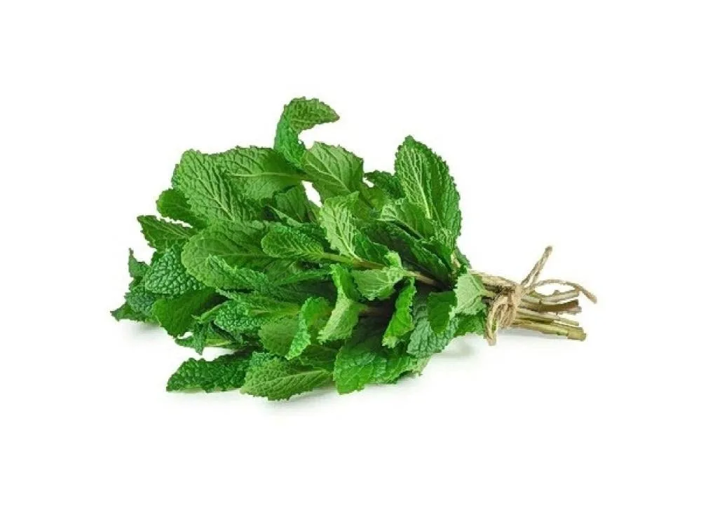 نعنع